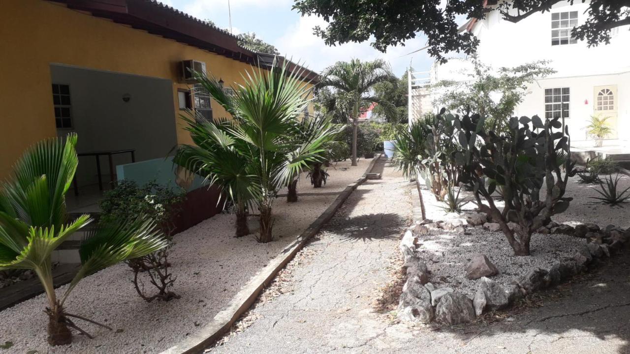 Happy Turtle Apartments Willemstad Eksteriør bilde
